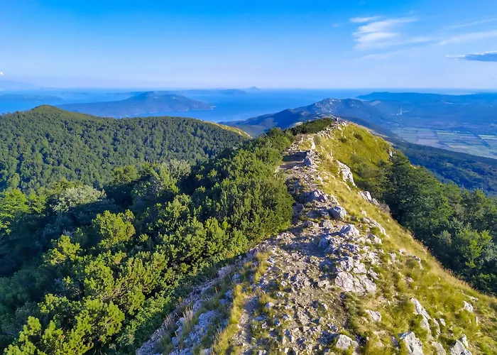 Zvonko-1 By Interhome